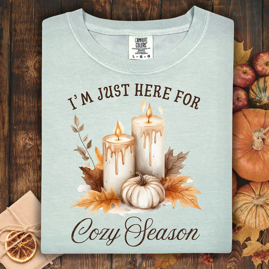 I'm Just Here for Cozy Season T-Shirt