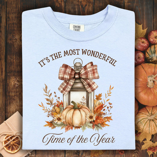 It's the Most Wonderful Time of the Year T-Shirt
