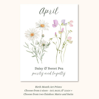 April birth month flower art print with watercolor daisies and sweet peas, symbolizing purity and loyalty.