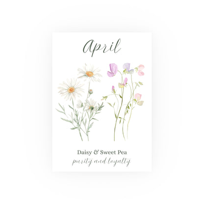April birth month flower art print with watercolor daisies and sweet peas, labeled "purity and loyalty".