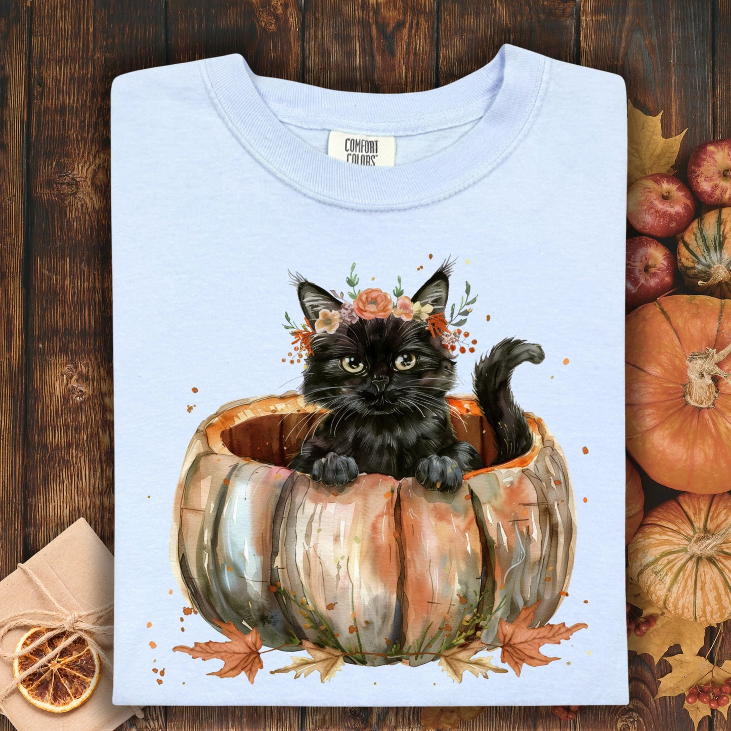 Black Cat and Pumpkin T-Shirt