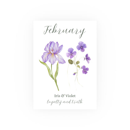 February Birth Month Flower Art Print