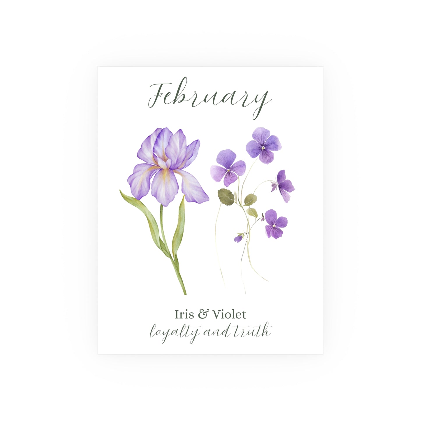 February Birth Month Flower Art Print