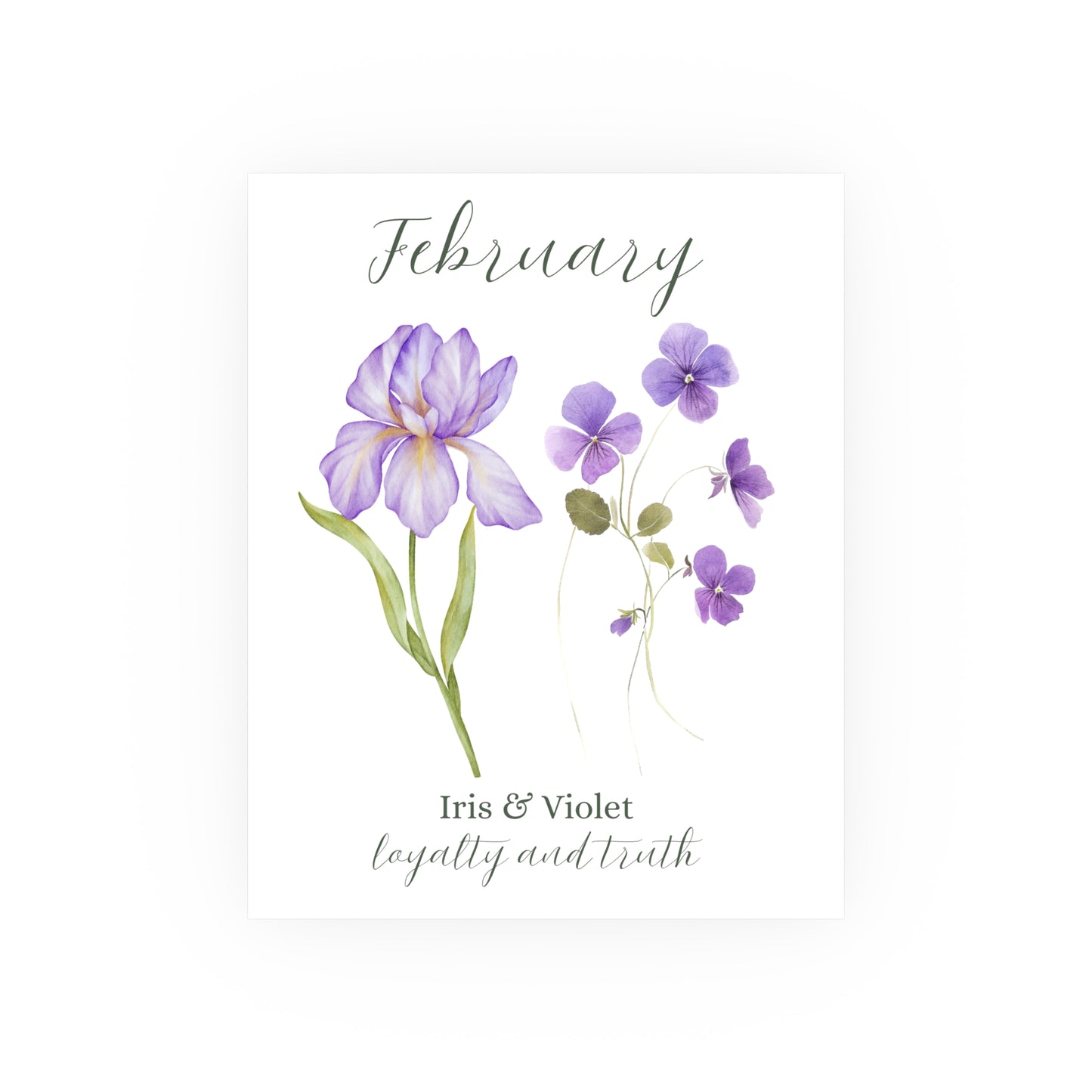 February Birth Month Flower Art Print
