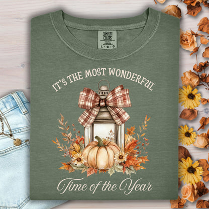 It's the Most Wonderful Time of the Year T-Shirt