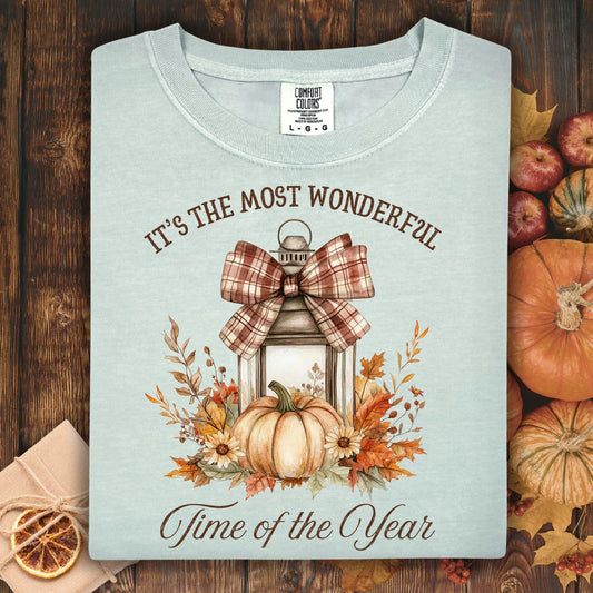 It's the Most Wonderful Time of the Year T-Shirt