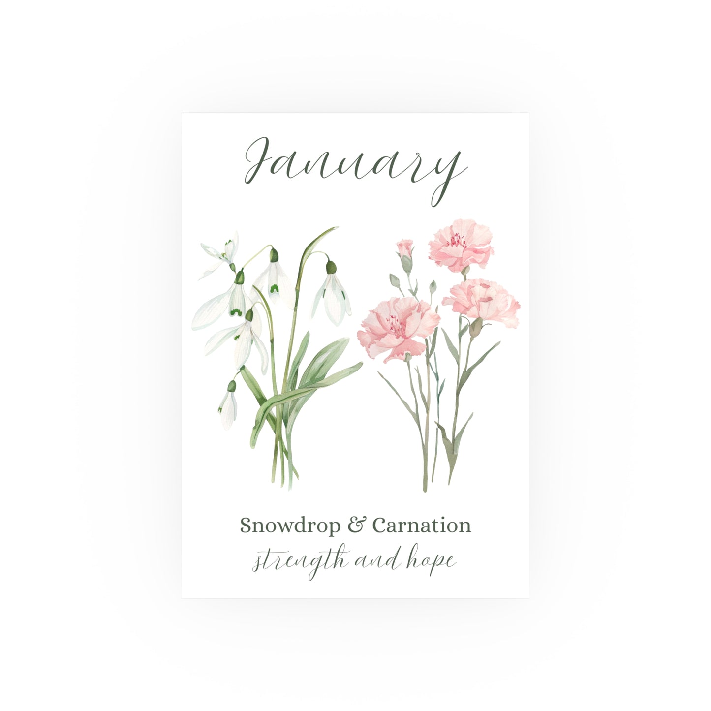 January Birth Month Flower Art Print