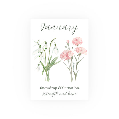 January Birth Month Flower Art Print