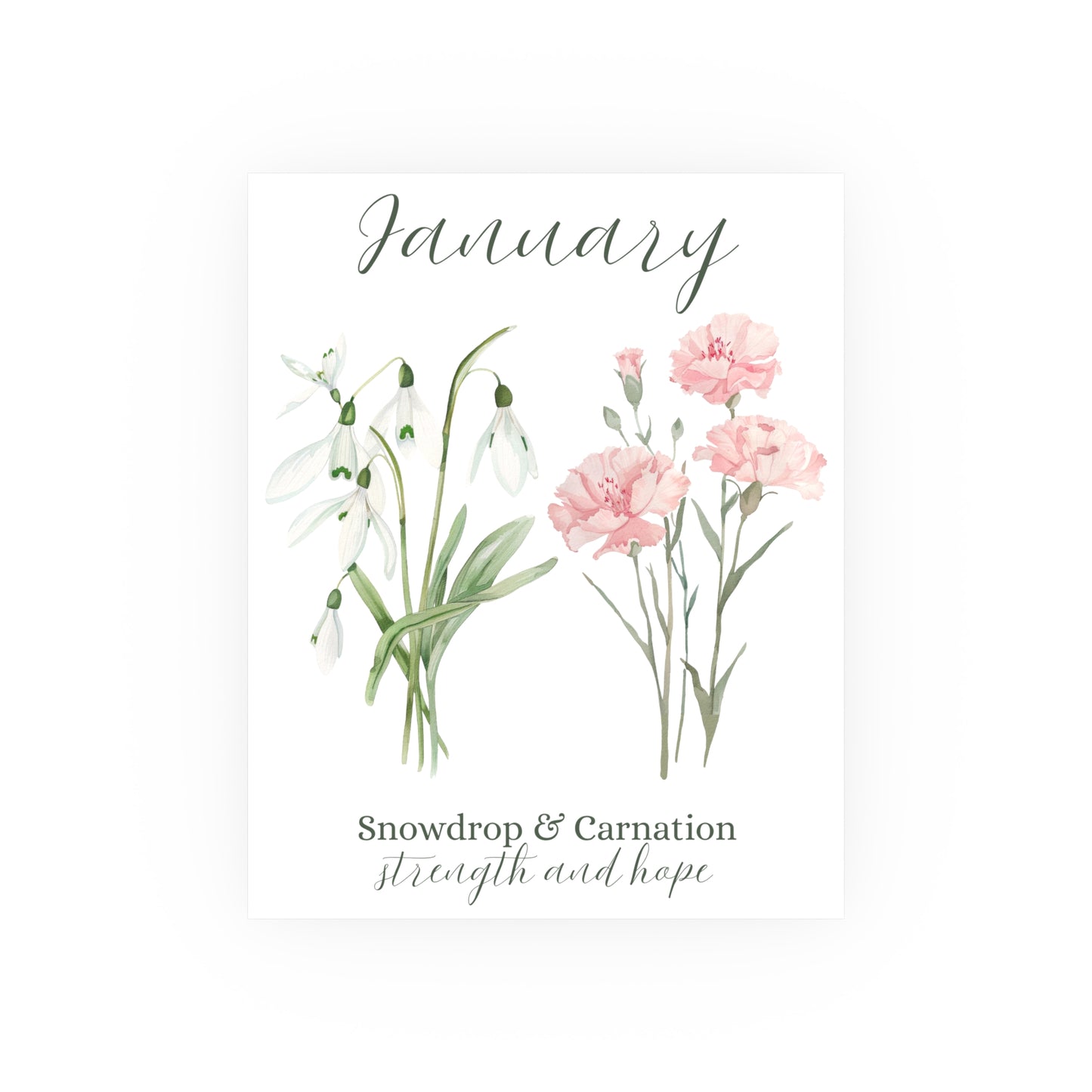 January Birth Month Flower Art Print