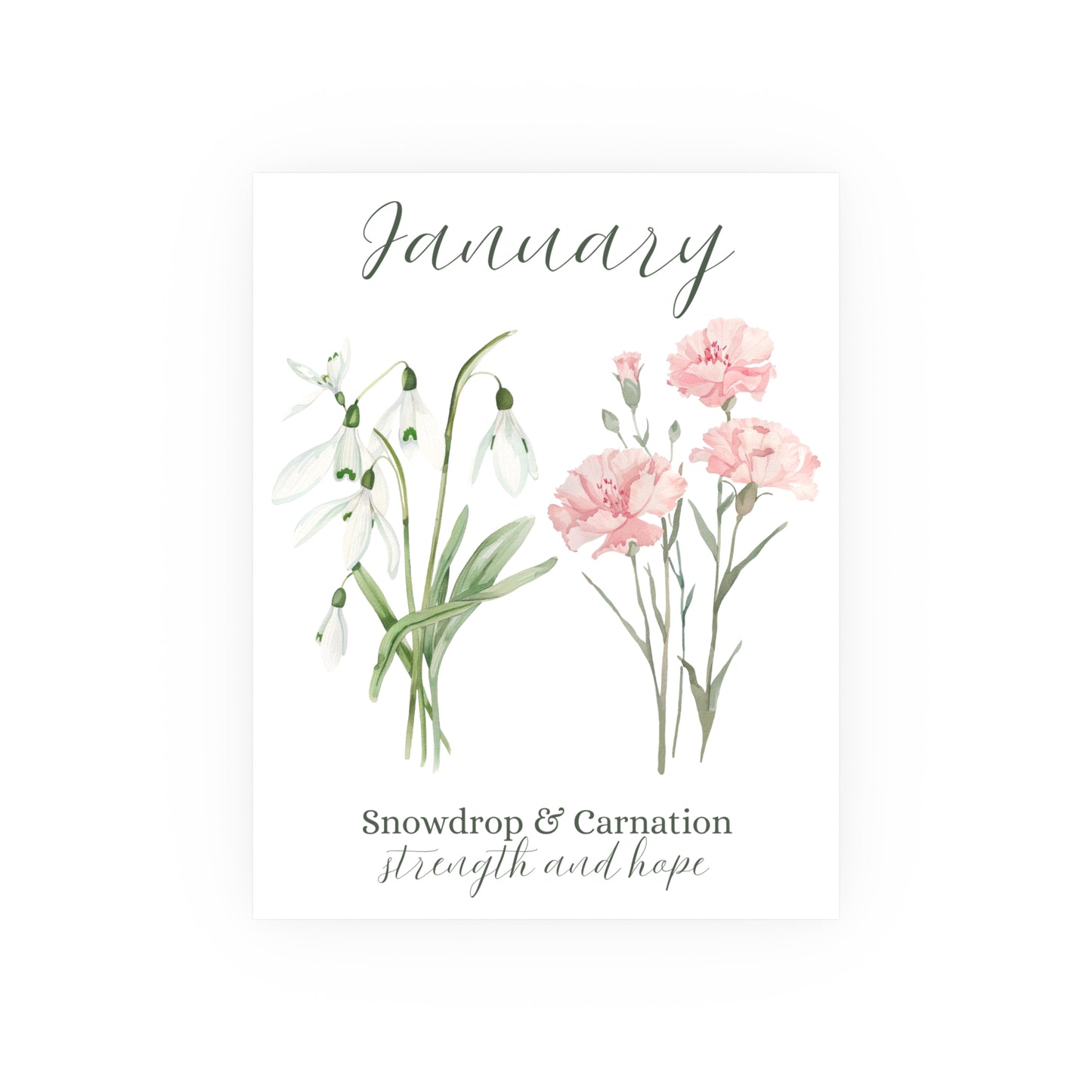 January Birth Month Flower Art Print