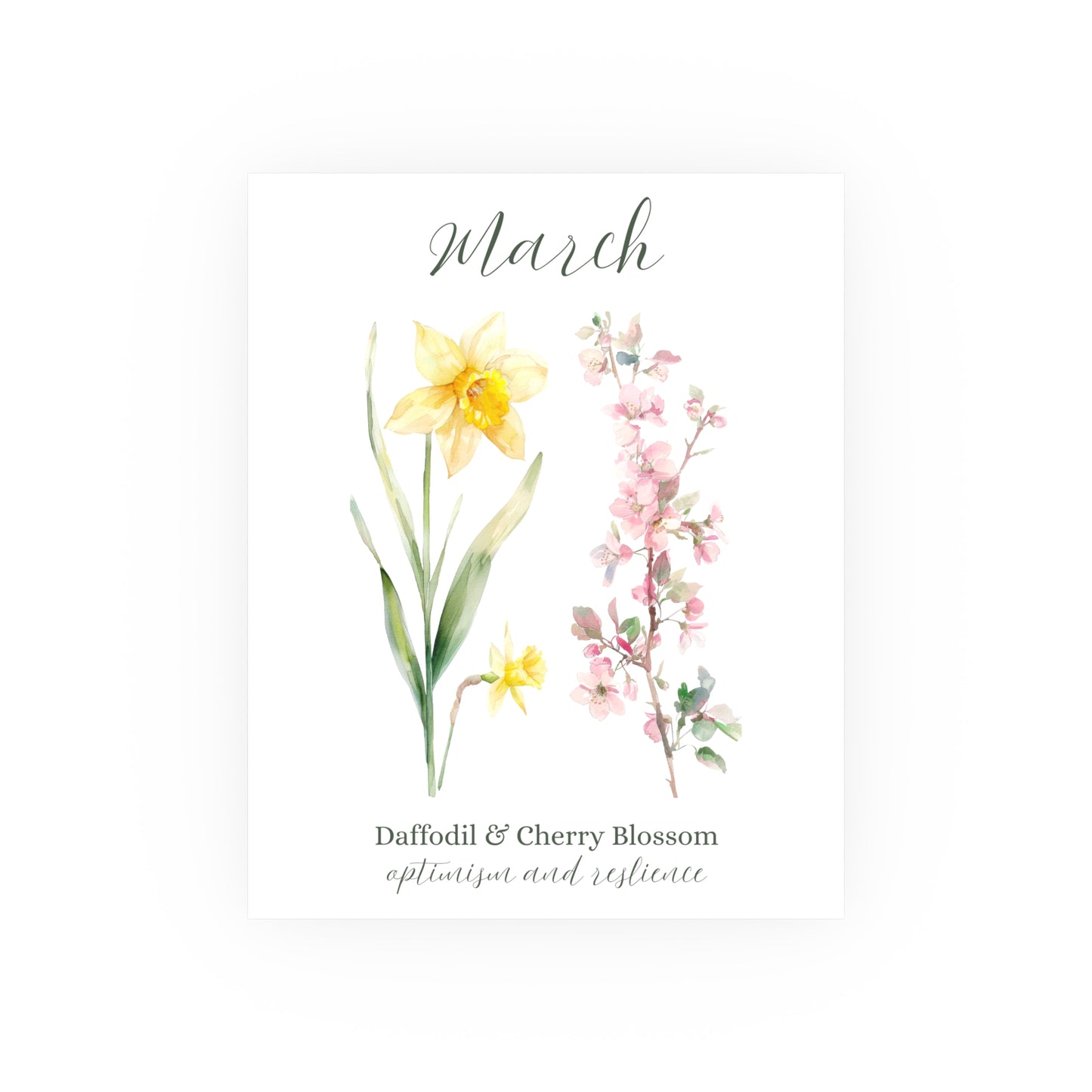 Watercolor daffodil and cherry blossom art print for March, with "optimism and resilience" text.