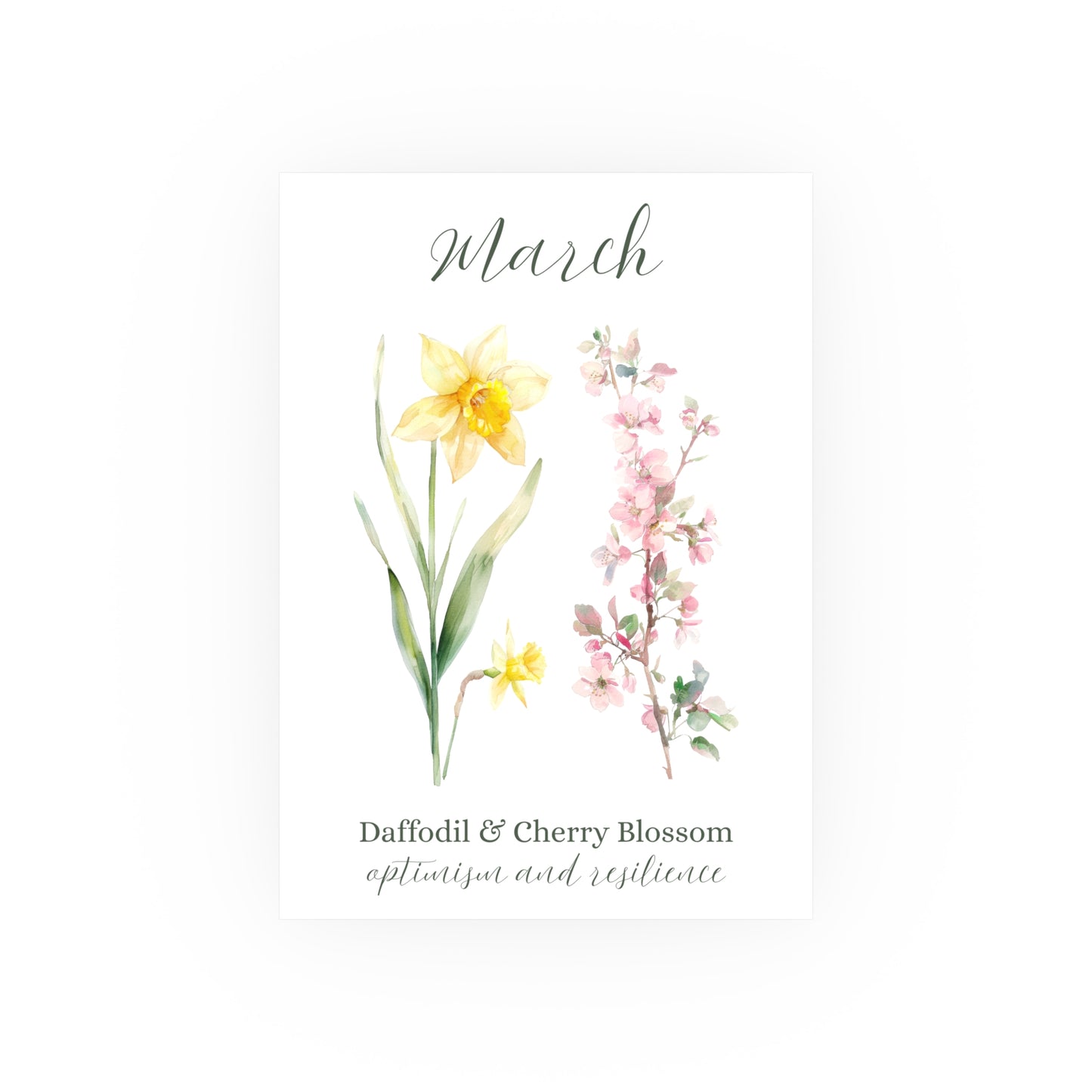 Vertical matte art print with watercolor daffodils and cherry blossoms for March.