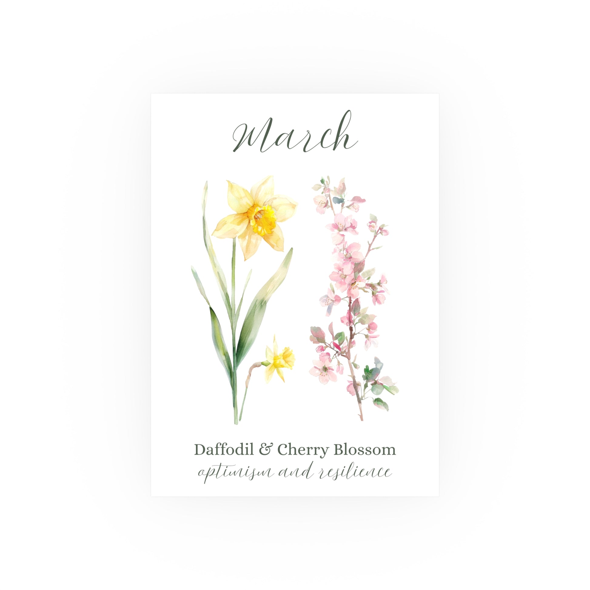 Vertical matte art print with watercolor daffodils and cherry blossoms for March.