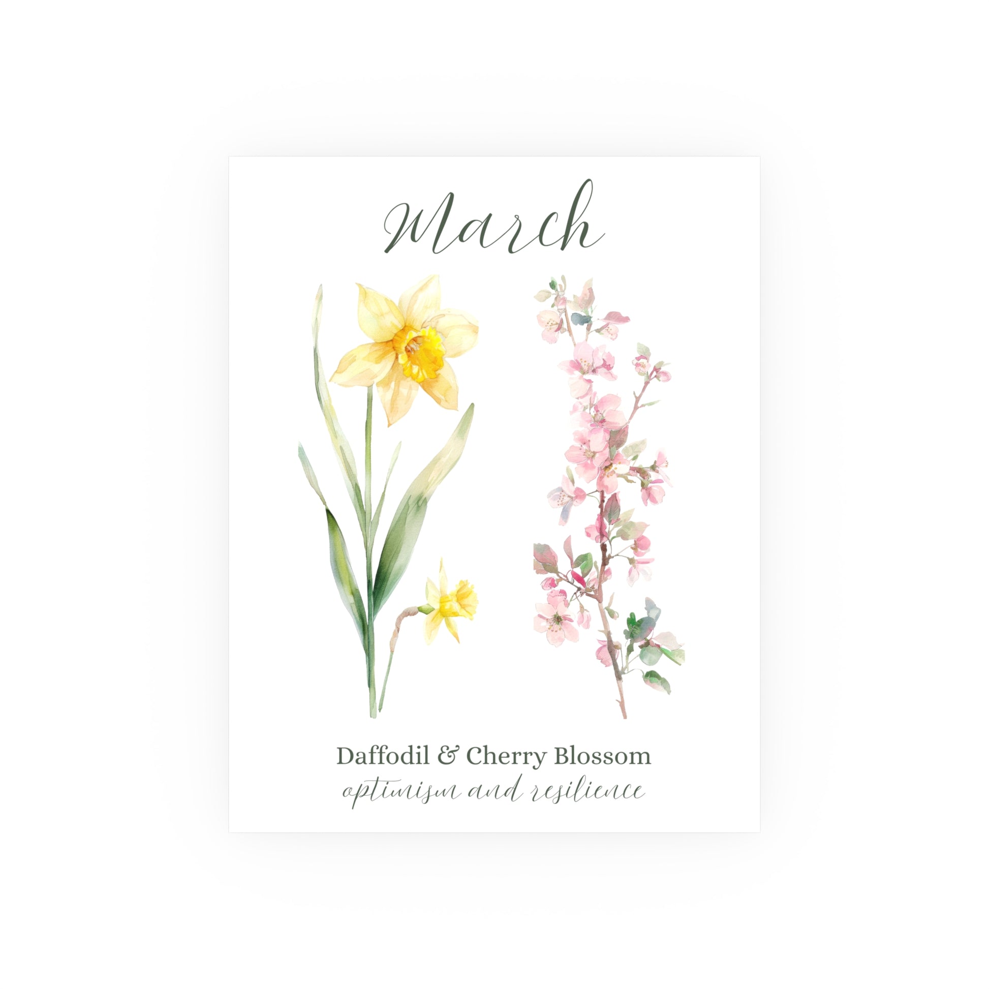 Watercolor daffodil and cherry blossom art print for March, featuring pale yellows and pinks on white.