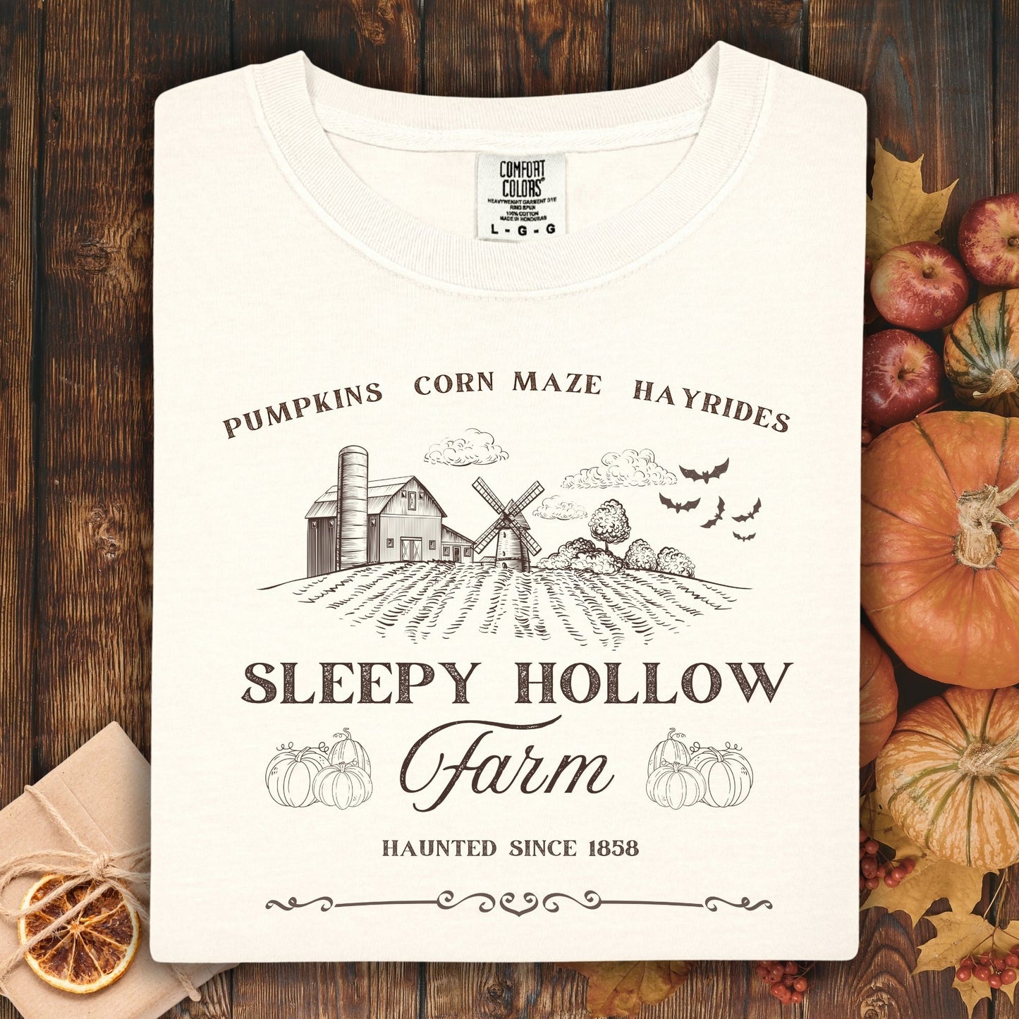 Sleepy Hollow Farm Vintage T-Shirt