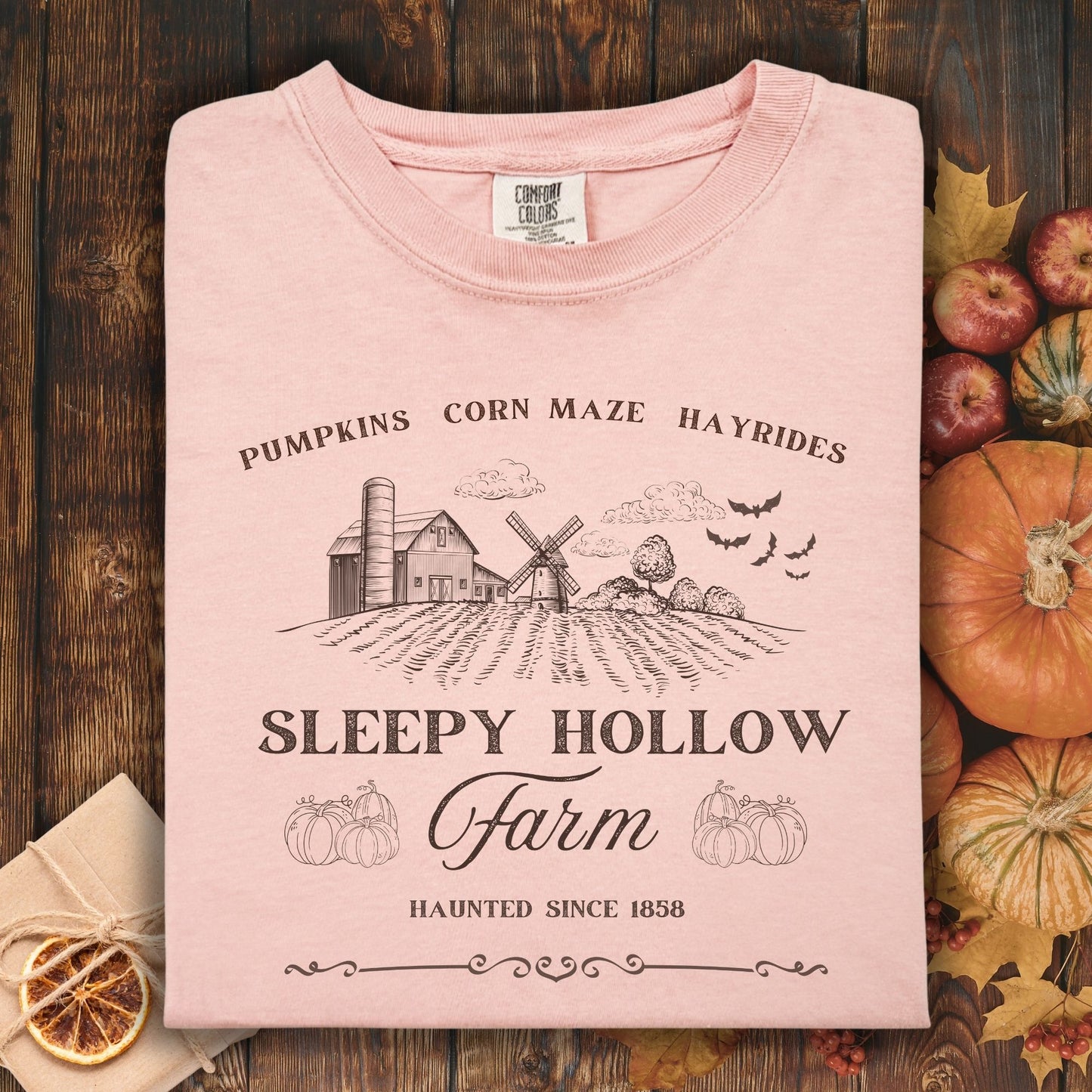 Sleepy Hollow Farm Vintage T-Shirt