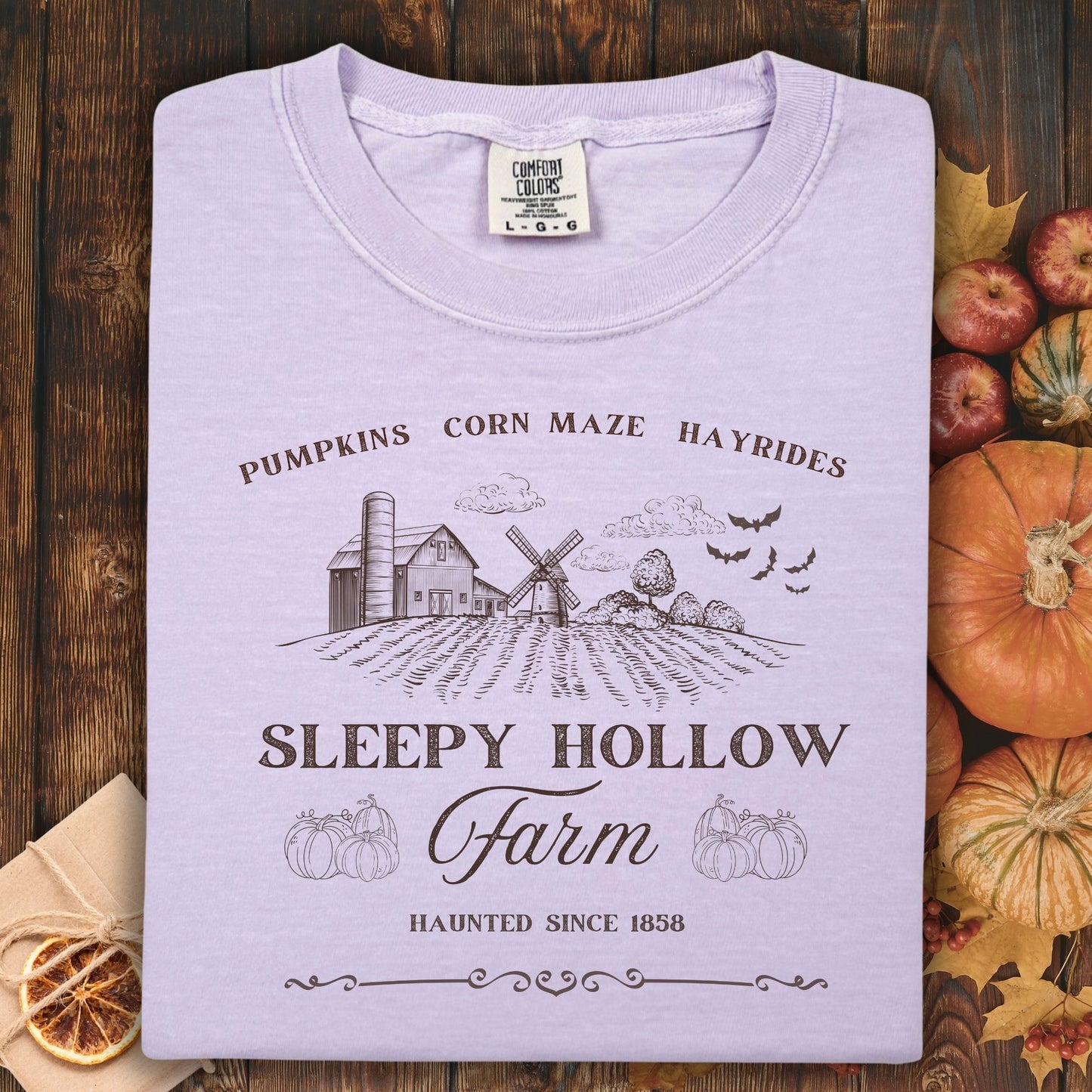 Sleepy Hollow Farm Vintage T-Shirt