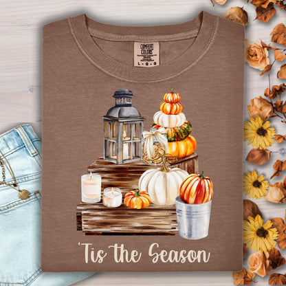Tis the Season (Autumn) T-Shirt