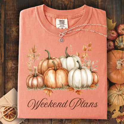 Terracotta heavyweight cotton t-shirt with watercolor pumpkins and "Weekend Plans" text, folded on wood.